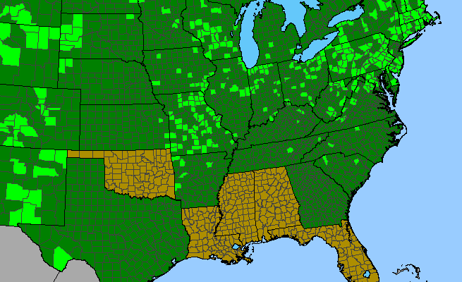 The range of Apocynum medium